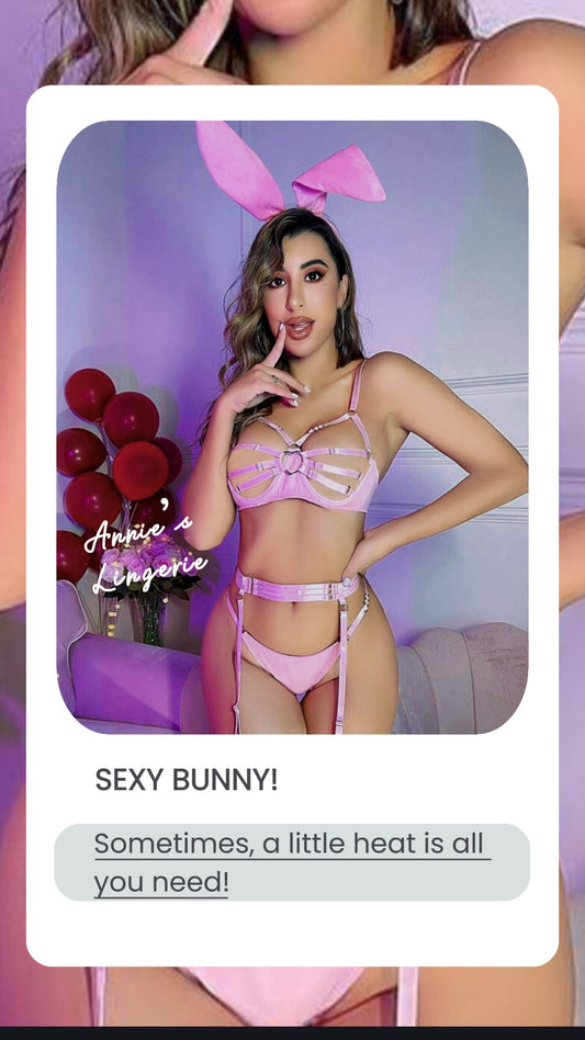 Sexy Bunny Lingerie.